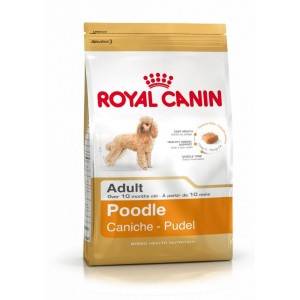 ROYAL CANIN BARBONE  ADULT 